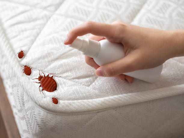 Best Pest Control Treatment  in Booker, TX